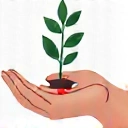 Ikona spersonalizowanej opieki